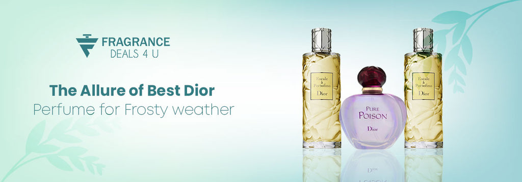 The Allure of Best Dior Perfumes for Frosty weather  